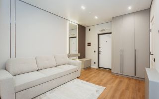 Vânzare, apartament, 1 cameră, strada Regina Elisabeta, Durlești - Poză 3