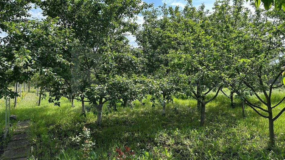 Vânzare, casă,115 mp + 18 ari, sat Corlăteni, Rîșcani - Poză 17