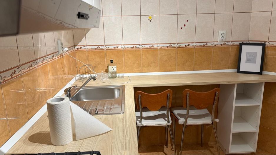 AP. 3 CAMERE BASARAB, PET-FRIENDLY, RENOVAT, REABILITAT, BOILER - Poză 8