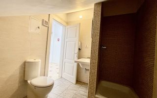 Mansardă cochetă în Piața Unirii - Poză 13