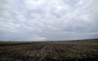 TEREN | Radauti | 6.000 mp | 62.800 EURO - Poză 1