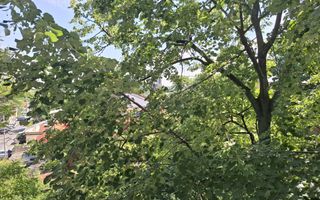 Bloc stradal, REABILITAT, vedere mixta, FARA RISC SEISMIC, NEGOCIABIL - Poză 9