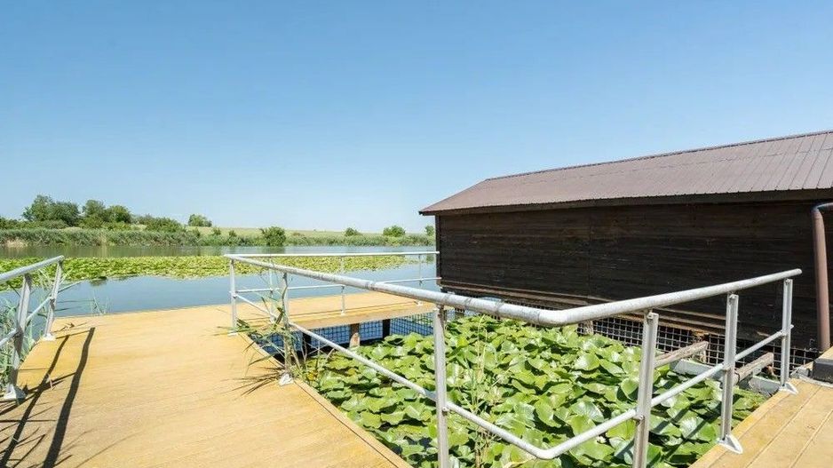 Vila exclusivistă de inchiriat | pe malul lacului Snagov - Poză 15