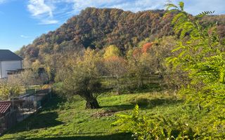 Teren | Vladesti | 1000 MP - Poză 6