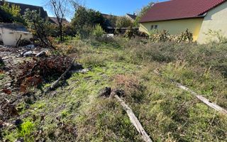 Casa de vanzare zona Mehala-Cetatii - Poză 13