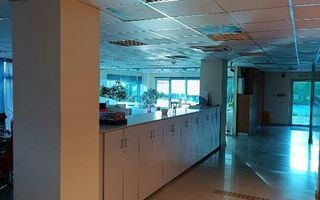 Hală logistică + Spaţii Birouri - Poză 9