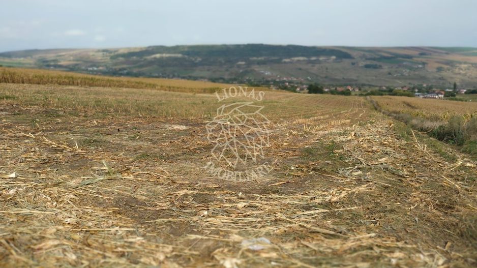 3 Parcele in Zona Fanate-oportunitate unica de investitie-Cluj-Napoca - Poză 4