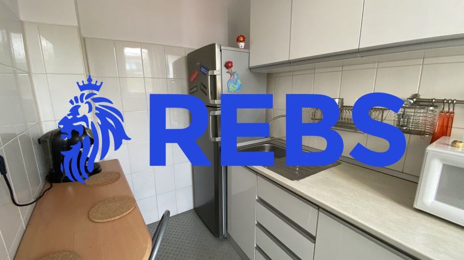 Apartament in vila Piata Victoriei | Caderea Bastiliei - Poză 18