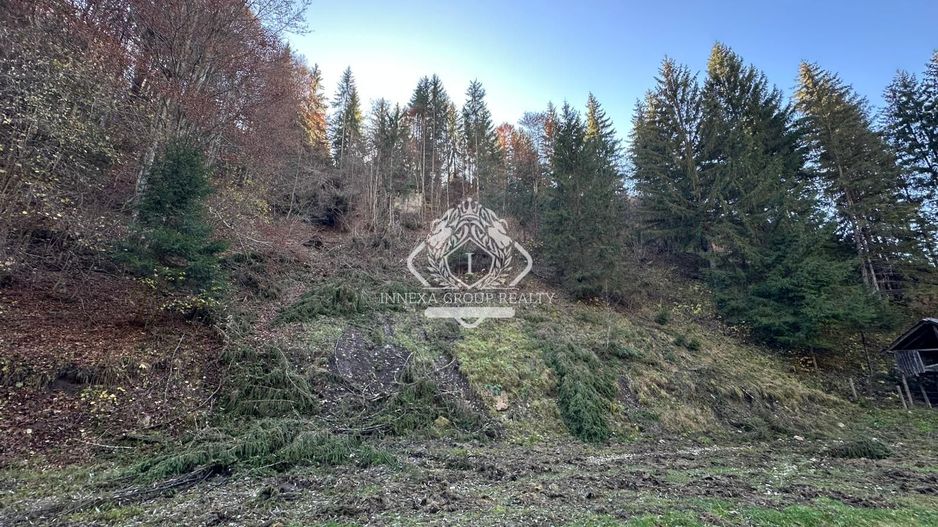 Teren 2.882 mp – oportunitate investitie - Cheile Dâmbovicioarei - Poză 2