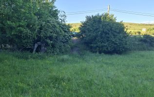 Teren de vanzare in Martinesti