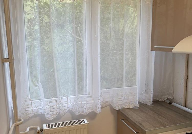 De inchiriat apartament 2 camere Bulevardul Cantemir - Poză 7