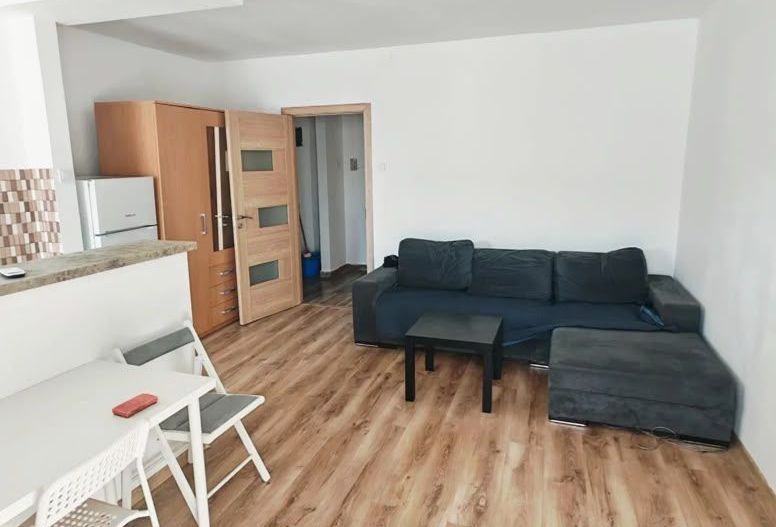 GARSONIERA- OZANA, CAT-FRIENDLY, BLOC REABILITAT, METROU, MODERN - Poză 1