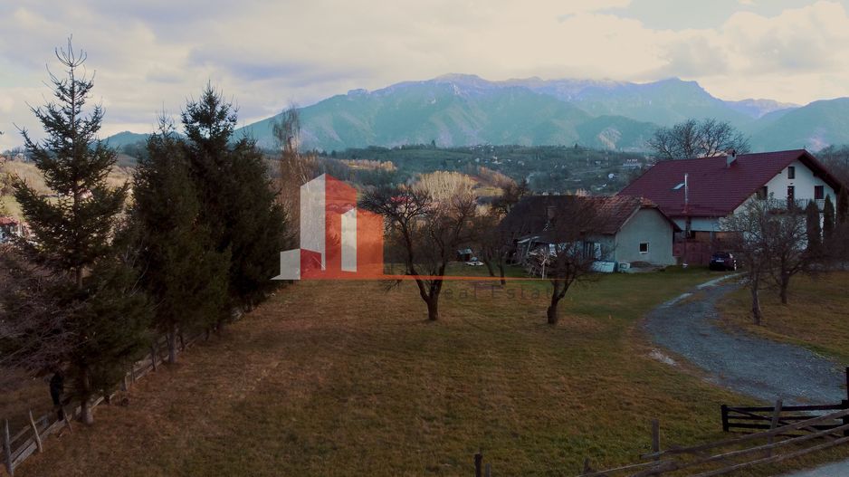 Teren 3779 mp Bran Predelut - Poză 2