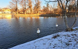 Teren intravilan 340 mp - Parcul Plumbuita - Poză 11