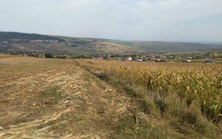 3 Parcele in Zona Fanate-oportunitate unica de investitie-Cluj-Napoca - Poză 3