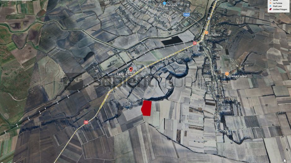 Sapient | Teren cu plantație de vie în loc. Diosig, jud. Bihor - Poză 4