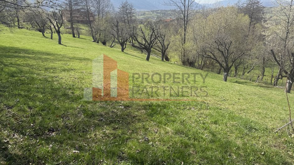 Teren de vânzare în Sohodol, comuna Bran – 4.289 mp - Poză 2