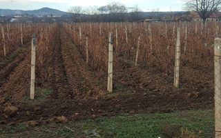 Teren/Loc de casa/Tamboesti - Poză 3