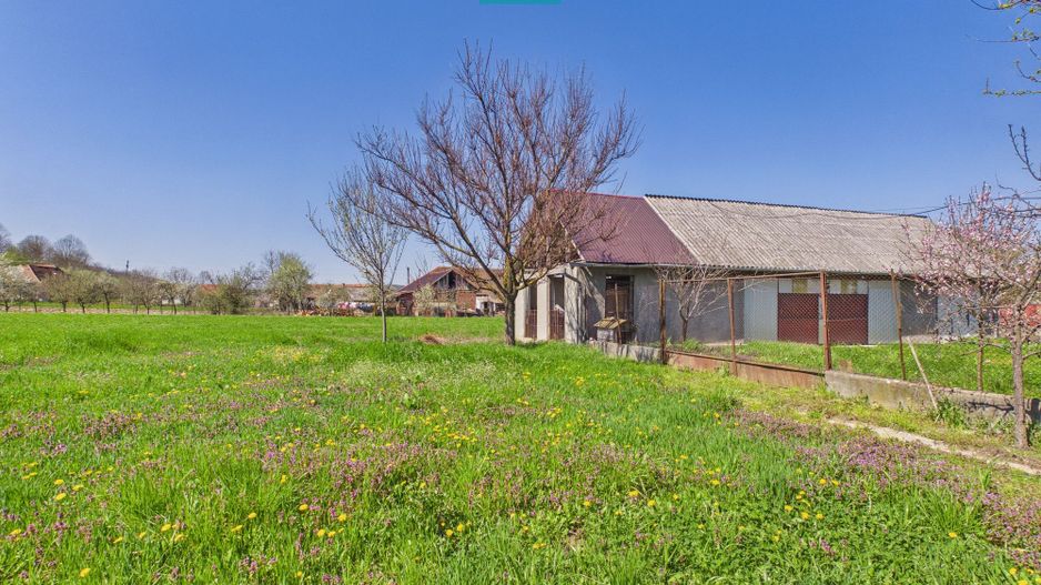 Casă solidă cu 5 camere in localitatea Almaș, Arad - Poză 24