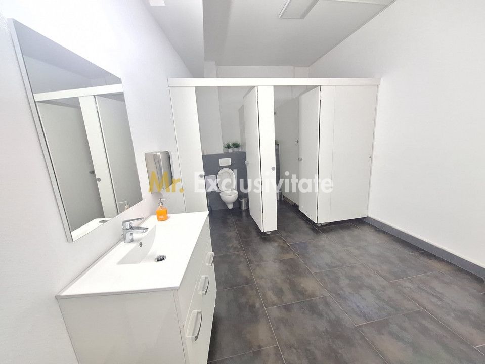 Spatiu Comercial Multifunctional Banat-CLASA A - Poză 12