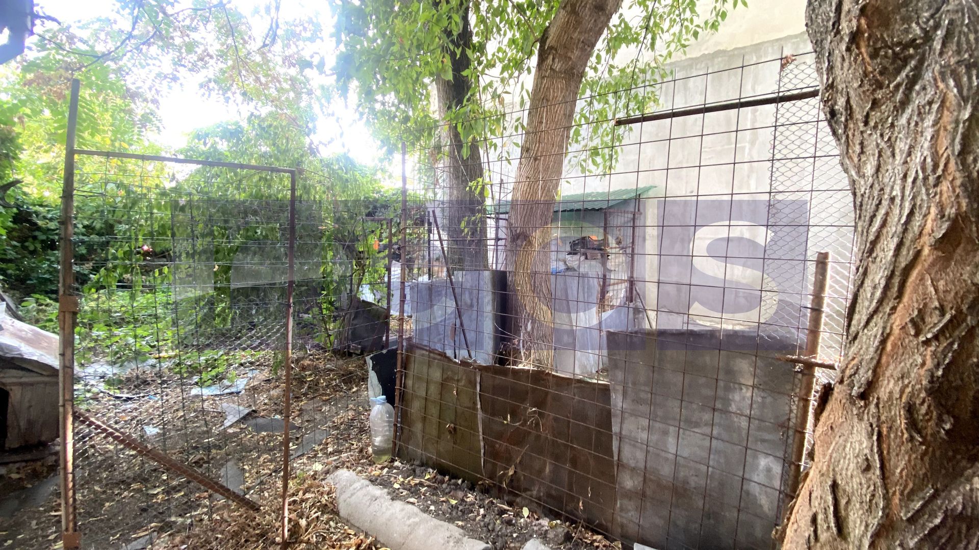 DE VANZARE CASA 6 CAMERE, CURTE SI CONSTRUCTIE SECUNDARA | COTROCENI - Poză 36