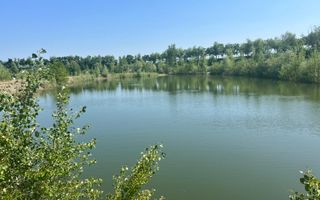 Iaz Piscicol Bacau Saucesti - Poză 6