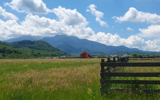 Rasnov -Glejarie 1000 mp front 42m posibilitate duplex sau 2 constructii - Poză 4