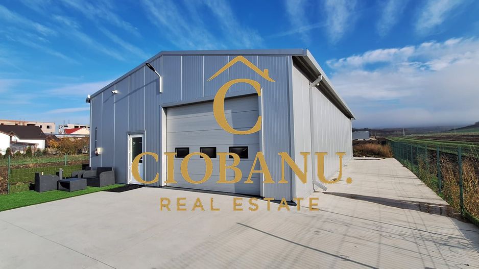 Hala de vanzare in Racarii de Jos - Poză 4