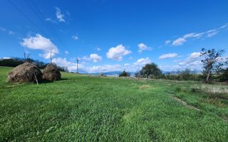 De vanzare 2965 mp teren intravilan, toate utilitatile, Oarda de Sus - Poză 7