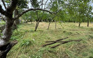 Casă de vânzare în Moisei, zonă turistică- 23 ari teren! - Poză 8