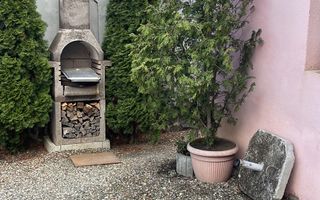 Vila 9 Camere I 5Bai | 370 MP I Curte 500 MP I Turnisor - Poză 15