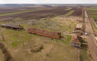 Fermă cu teren intravilan de 35000 mp în Mișca - Poză 15