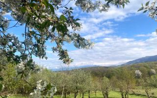 Teren intravilan I 3370 mp I PUZ pentru P+2 I Zona  Cisnadie - Poză 5