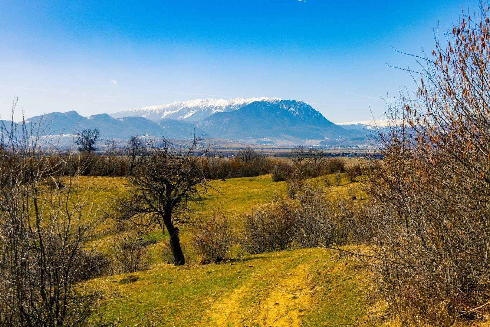 Teren 6 Hectare cu PUZ pentru Resort Turistic panorma Muntii Piatra Craiului - Poză 10