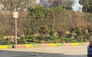 Prima închiriere apartament decomandat 2 camere cu centrală - Aleea Fizicienilor - Poză 7