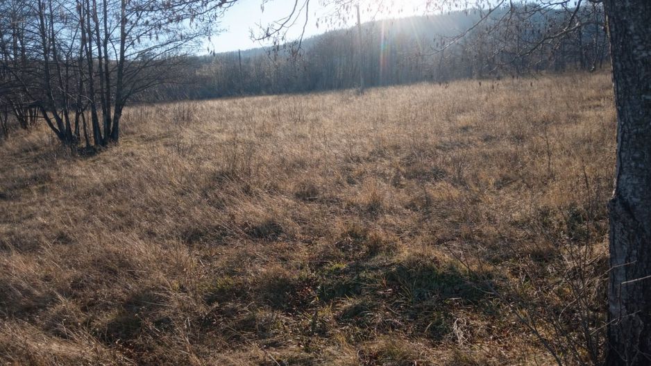 Teren extravilan | Vicovu de Jos | Preț 27.000 | Negociabil - Poză 3