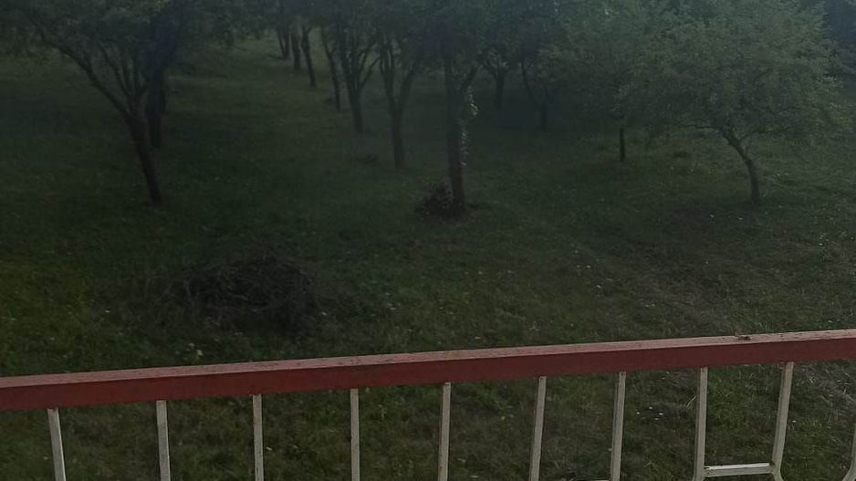 Tren si casa de vacanta in Panticeu - Poză 8