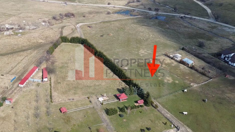 Teren intravilan 1.495 mp | Bran- Tohanu Nou | Vedere Bucegi | Deschidere 45 m - Poză 7