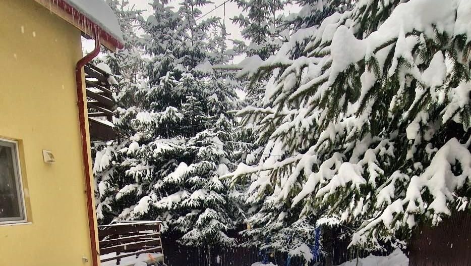 Casa de vacanta la liziera padurii cu vedere libera catre muntii Bucegi - Poză 11