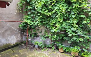 Casa Individuala | Ultracentral | Acces auto | Pivnita - Poză 8