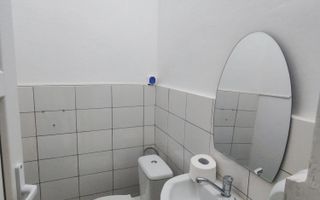 Spațiu comercial -  Vitrina-  Baza 3/ Carrefour Felicia - Poză 9