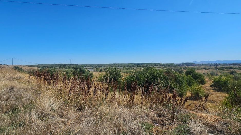 Teren intravilan 14.168 mp – pozitie excelenta la intrarea in Braila - Poză 7