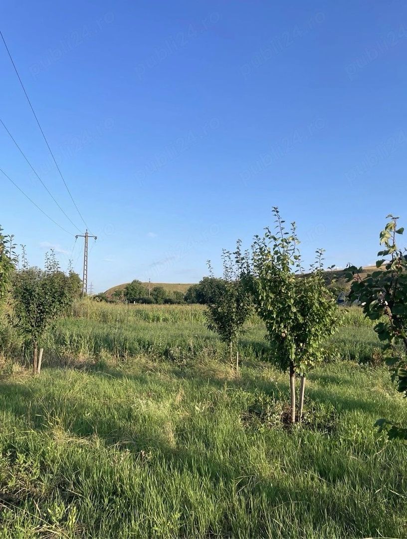 Vand teren intravilan - Poză 3