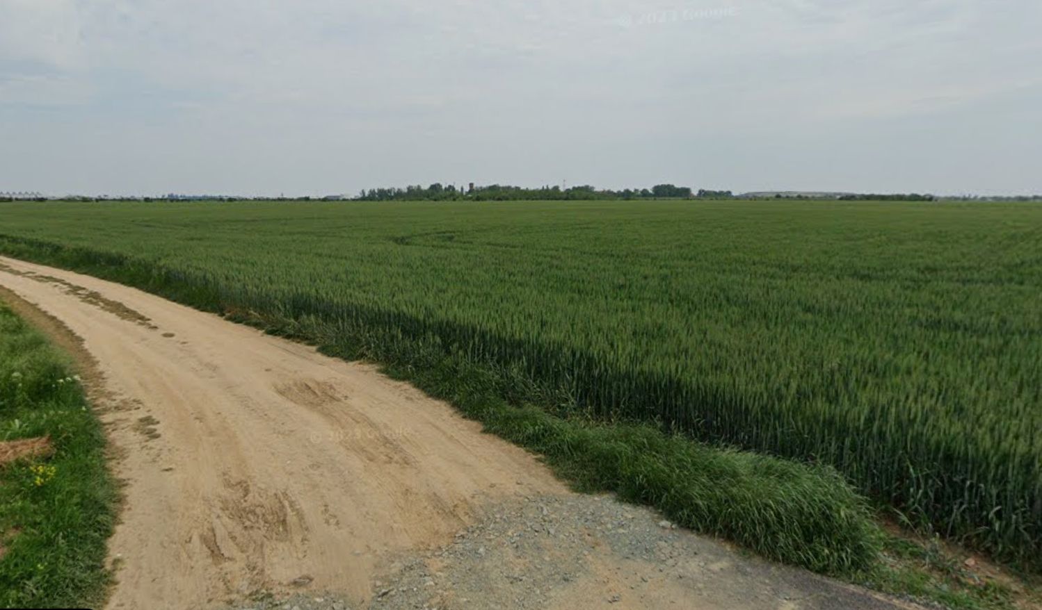 Teren intravilan de vanzare 1455 mp, Dragomiresti-Vale - Poză 5