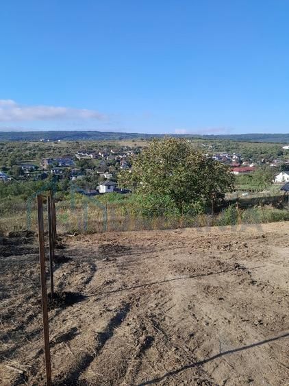 Teren intravilan de vânzare, 837 mp, deschidere 40 ml, Tomești (Iași) - Poză 2