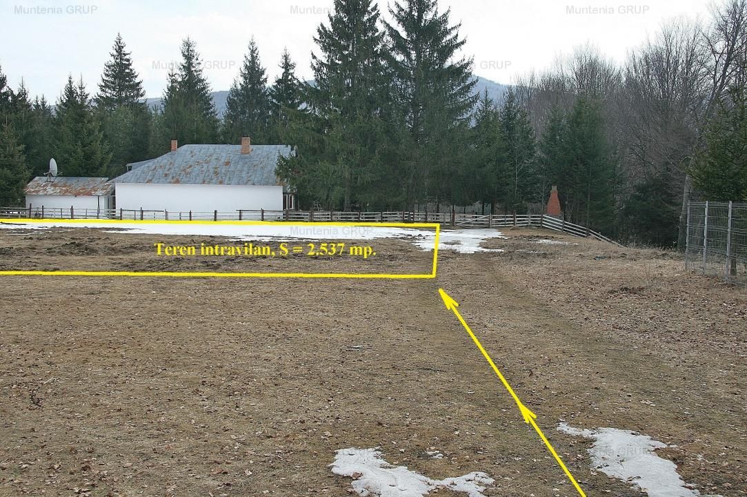 VALEA DOFTANEI - Traisteni, langa Conacul Dascalu, vanzare 2.537 mp. teren - Poză 5