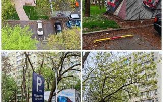 Garsoniera modernă CF 1 - Delfinului - Poză 15