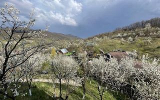 Casa de vacanta**Panorama spectaculoasa//Provita de Jos_Prahova - Poză 5