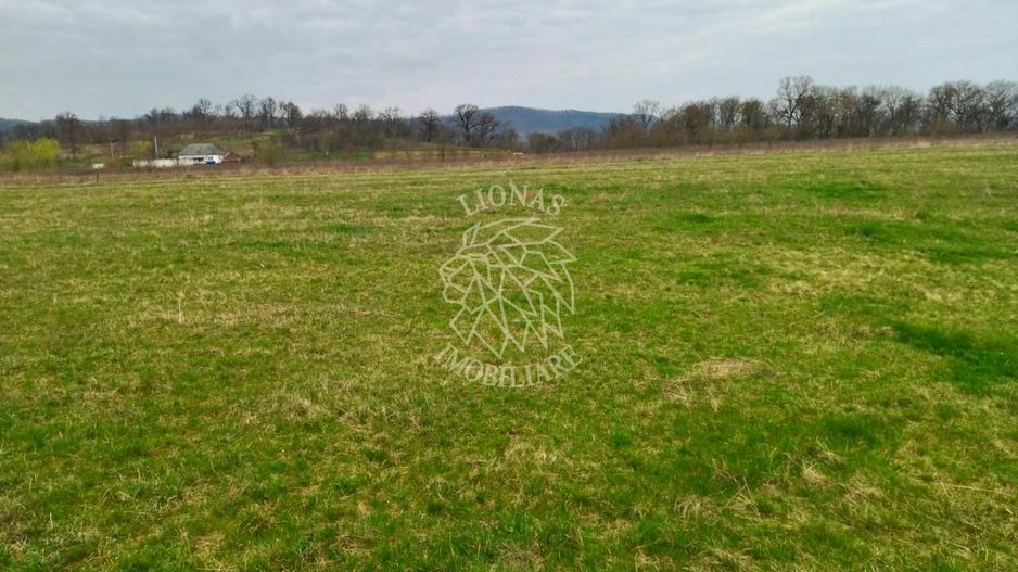 4 Loturi diferite-ideal cabane/investitii-Beclean 1 km de Baile Figa - Poză 4