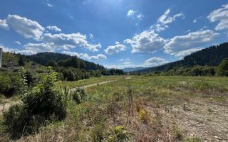 TEREN INTRAVILAN 2,26 HA | SUCEVITA | - Poză 9